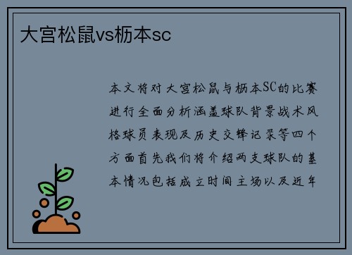大宫松鼠vs枥本sc
